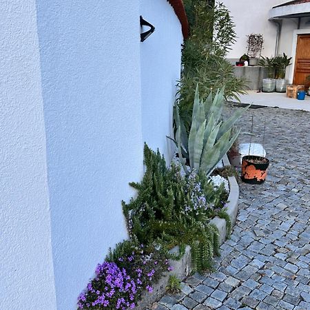 Dreamtime - One Badroom And 1 Livingroom Apartment Veprinac Exterior foto