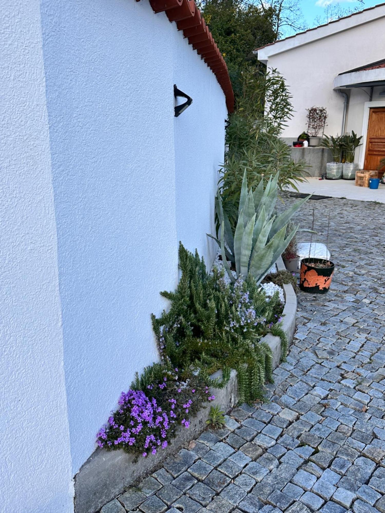 Dreamtime - One Badroom And 1 Livingroom Apartment Veprinac Exterior foto